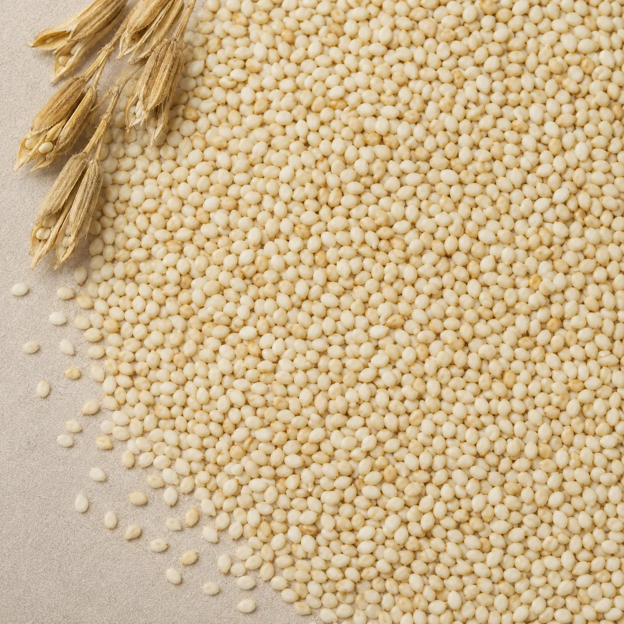 Indonesian sesame seeds